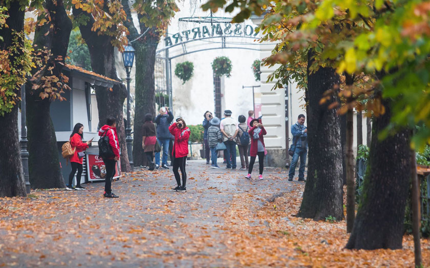 Zagreb, TZGZ / Lice Grada