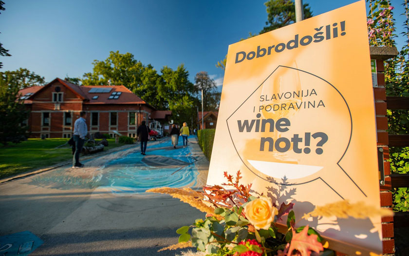 Slavonija i Podravina, wine not!? 